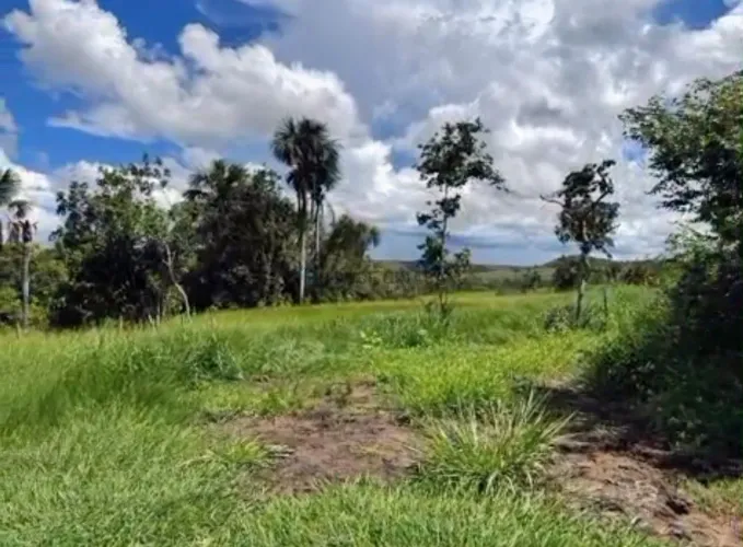 Vendo!!! fazenda pecuária de 1.936 hec na região da cidade de General Carneiro
