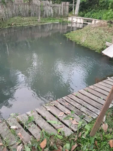 Vendo esta chácara na comunidade São Sebastião
