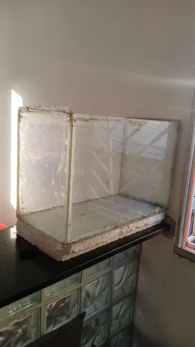 Aquario
