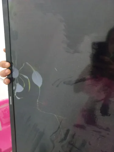 Televisão Samsung com defeito 