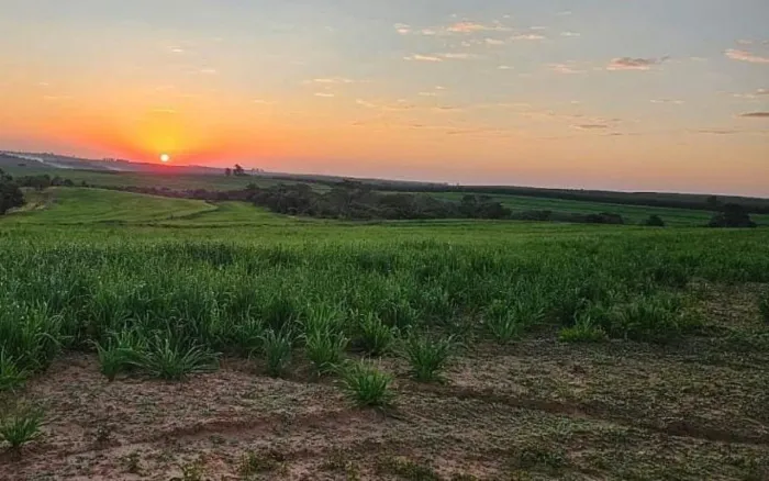 *EXCELENTE FAZENDA A VENDA NA REGIÃO DE BAURU-SP* ?? Formação: Agricultura Aptidão: Grãos,