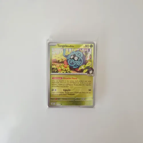 Kit/Bulk TCG Pokemon Heróis Excelsos Brilhantes