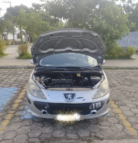 Peugeot 307 Sed. Presence 1.6 Flex 16V 4P 2008