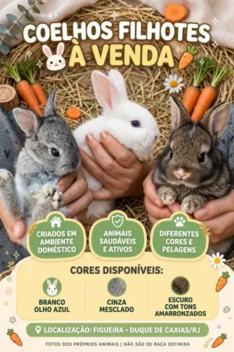Vendo Filhote de coelhos 50,00