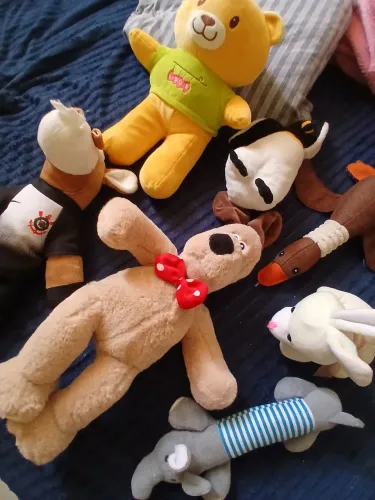 Pelúcias