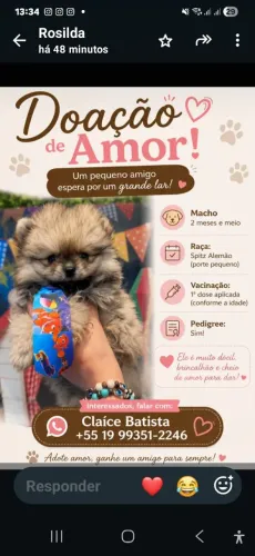 Doação de Pet.
