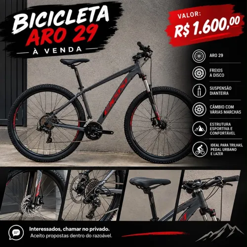Bicicleta aro 29