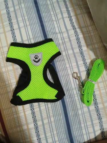 Guia Peitoral Malha de Náilon Flexível Fivela de Metal Ajustável Para Cachorro Tamanho S