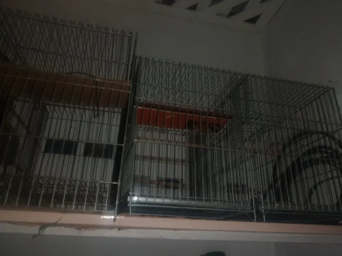 3 gaiolas criadouro 50$ cada