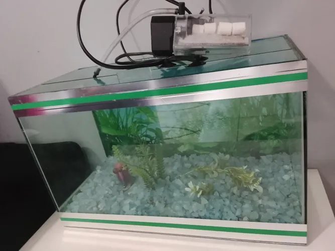 Aquário 20 litros , completo