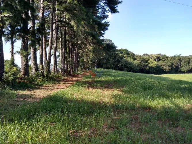 Terreno à venda,11.500,00m², são miguel, CURITIBA - PR
