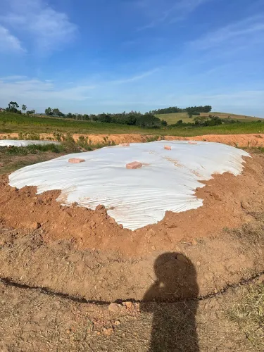 Vende se silagem em lomba grande NH