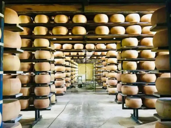 Fazenda leiteira à venda com 127 alqueires - 9.000 litros/dia - laticínio próprio - portei