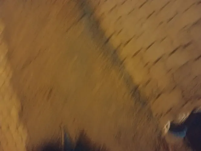 Faço reboco... levanto parede de tijolo....puxo piso na diaria ou na empeleita  *