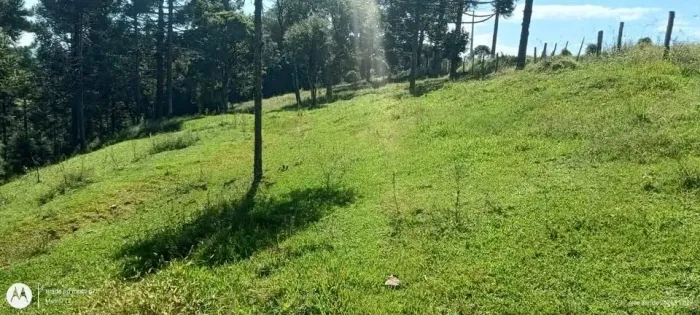 Vende-se terreno de 28.892 m² em Alfredo Wagner, SC