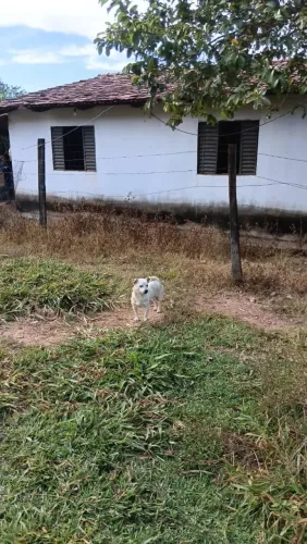 Fazenda a venda