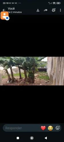 Terreno inteiro