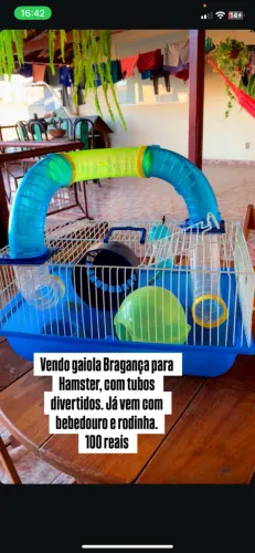 Gaiola Bragança para Hamster com tubos divertido
