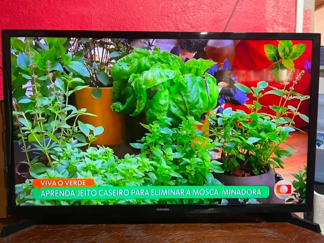 Smart tv 32 polegadas Samsung