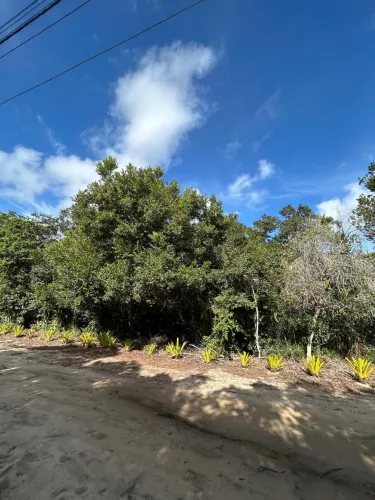 Terreno| Pedra Azul |Bosque Buganville