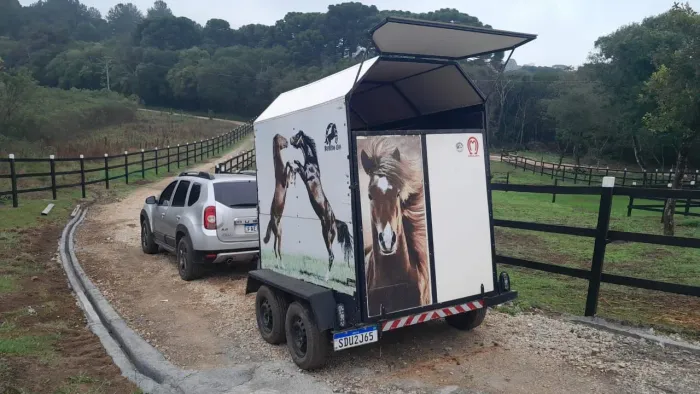 Carretinha pra dois cavalos