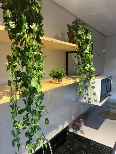 LOFT PARA LOCAÇAO BONITO-MS