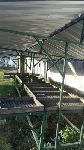 Bancas de feira