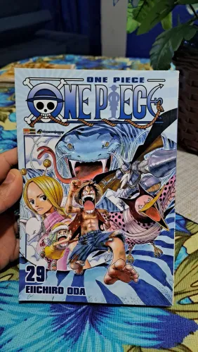 One piece vol 29
