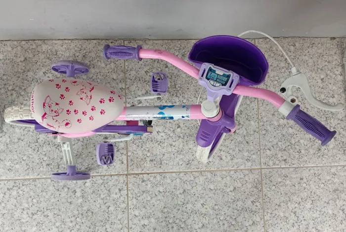 Bicicleta Infantil