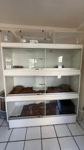 Móvel Terrário em MDF Naval