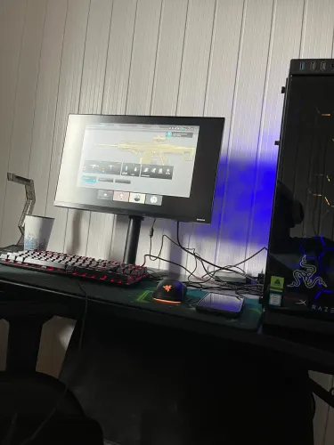 Monitor gamer