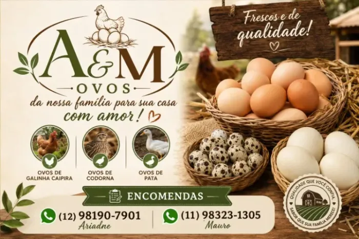 A&M Ovos 