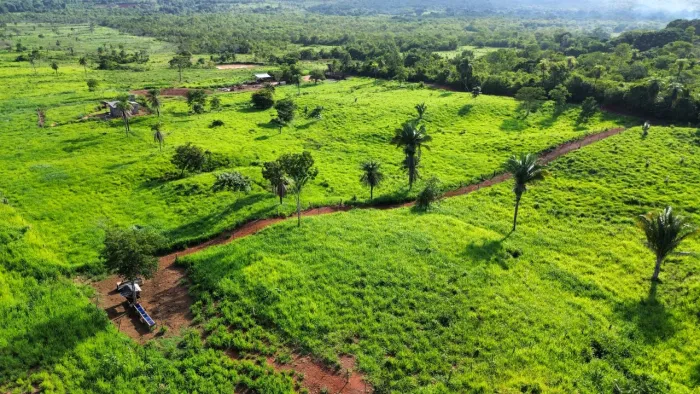 Propriedade Rural à venda 