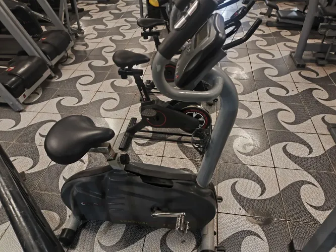 Vendo bike LF 300 X vertical Lion