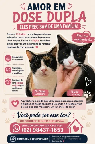? ADOÇÃO CONJUNTA - COLORIDA E FEIJÃO | MÃE E FILHO ?