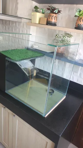 Aquário, Terrário Tamanho 65 x 45x59