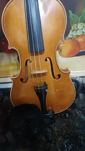 Violino Profissional