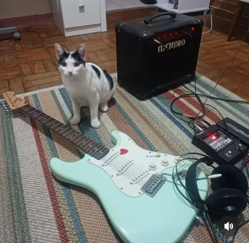 Guitarra Squier by Fender - Verde Surf Bullet serie