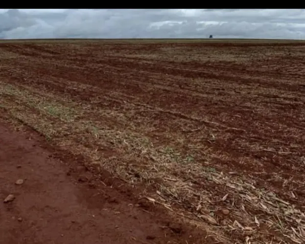 Vendo- fazenda
