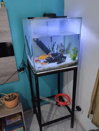 Aquário 135L completo