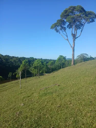 Procuro Chacreiro