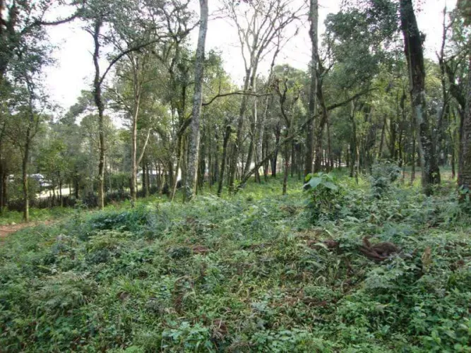 TERRENO EFAPI