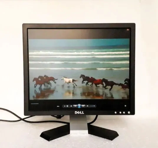 Monitor Dell 17 Polegadas Mod E177FPC