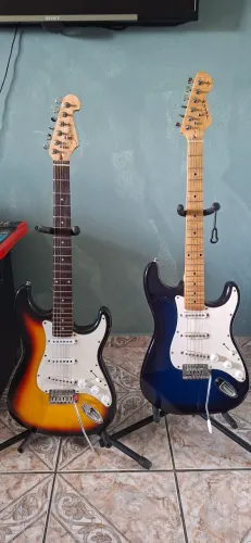 Guitarra Shelter e Vogga