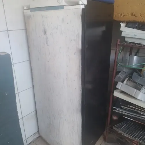 Geladeira sem gás fucionando mais não gela faço entrega