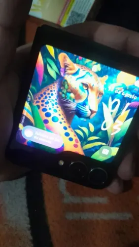Z Flip Seminovo Com Caixa e Acessórios