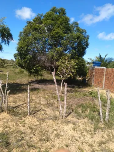 Terreno