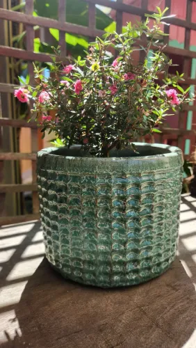 Vaso Decorativo para Plantas