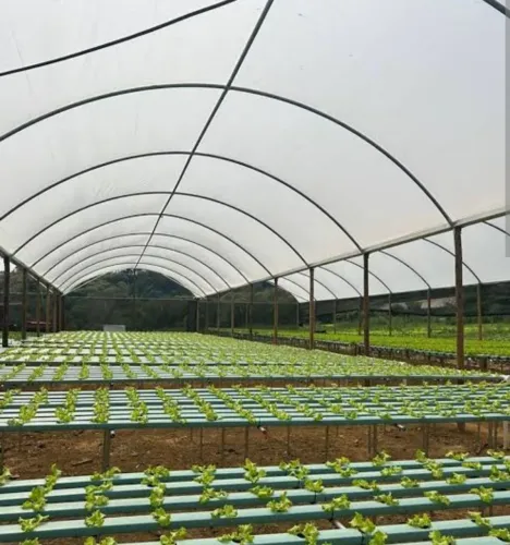 Perfil Para Estufa Agrícola 