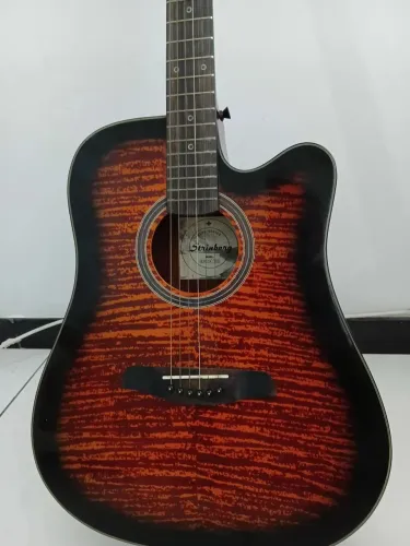 Violão Strinberg  - Profissional 
